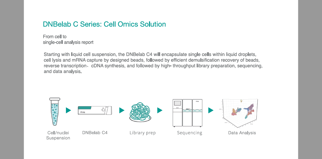 DNBelab C4 Pocket Single-Cell Lab